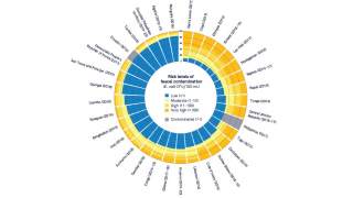 Water quality testing in household surveys