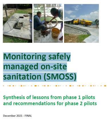 Synthesis report on monitoring SMOSS
