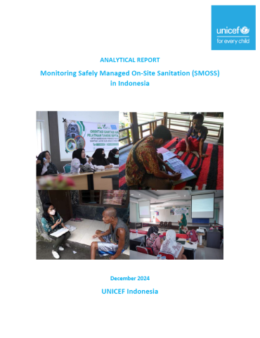 Cover page for Indonesia SMOSS report with photos showing meetings and interviews 