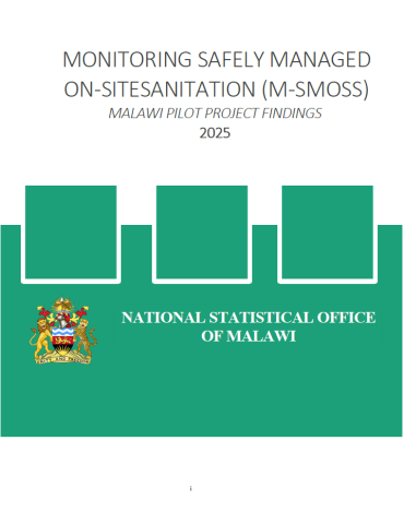 Report cover page showing the emblem of the National Statistical Office of Malawi 