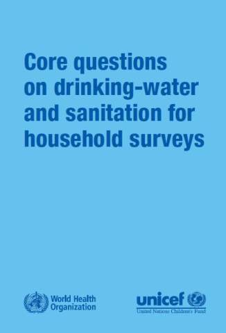 Core questions for household surveys