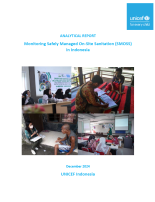 Cover page for Indonesia SMOSS report with photos showing meetings and interviews 